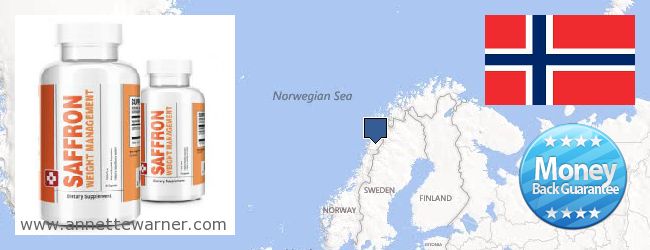 Hol lehet megvásárolni Saffron Extract online Norway