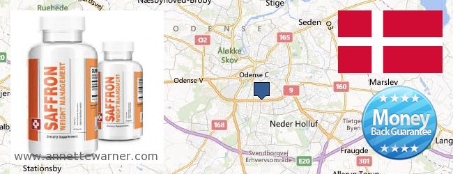 Best Place to Buy Saffron Extract online Odense, Denmark