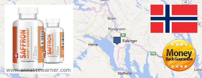 Purchase Saffron Extract online Porsgrunn, Norway