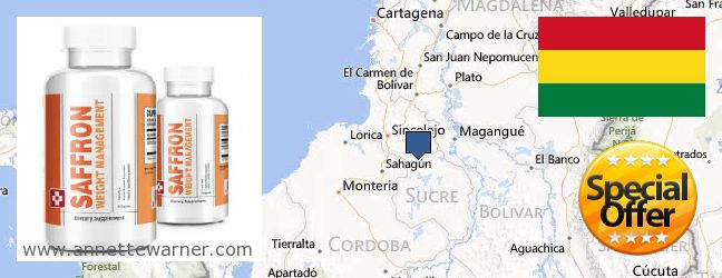 Where to Purchase Saffron Extract online Sucre, Bolivia
