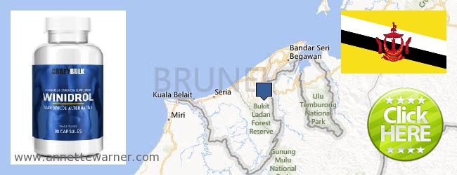Gdzie kupić Winstrol Steroids w Internecie Brunei
