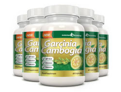 Buy Garcinia Cambogia Extract in Salvaleon De Higuey
